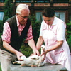 Helmut und Gerda Storch